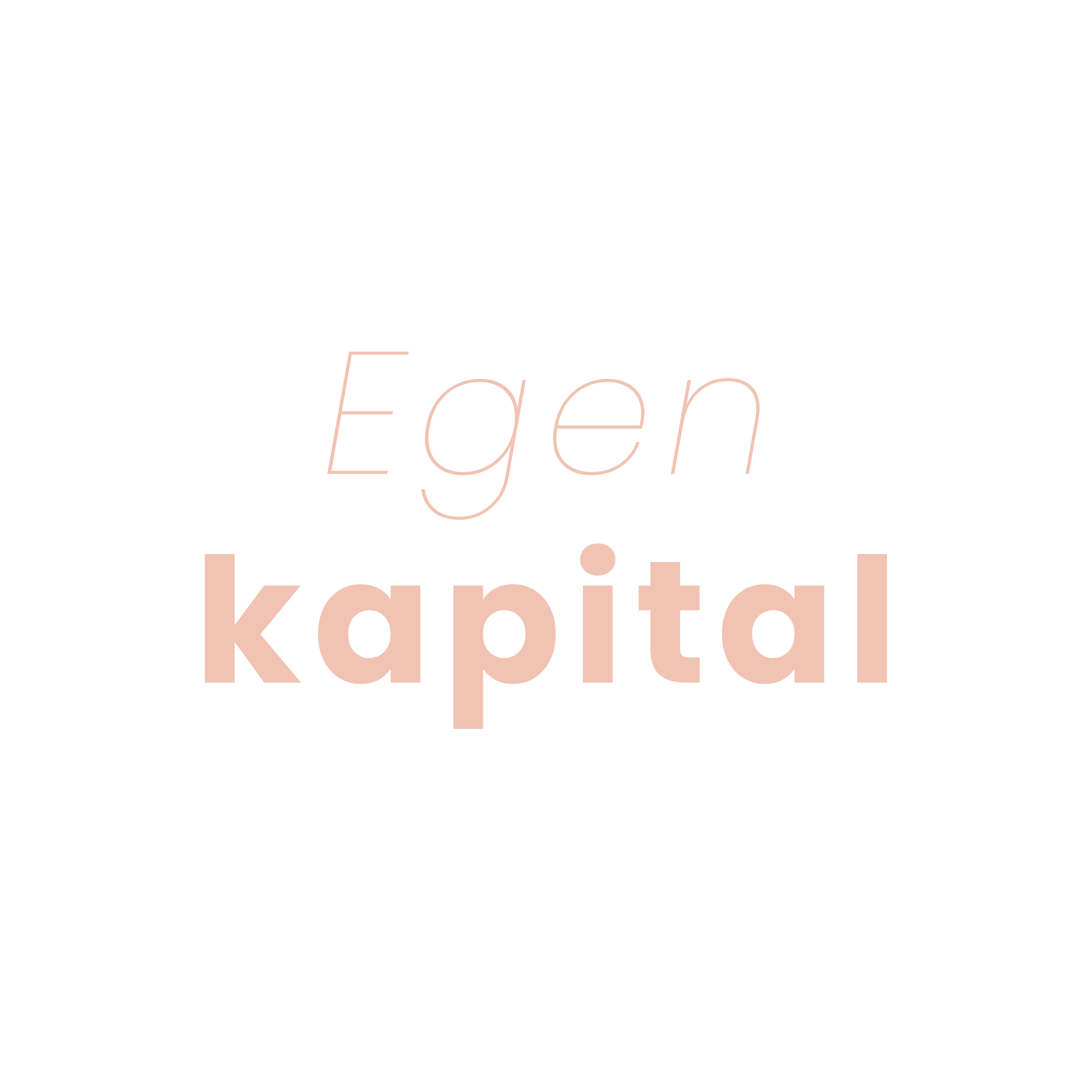 Egen kapital