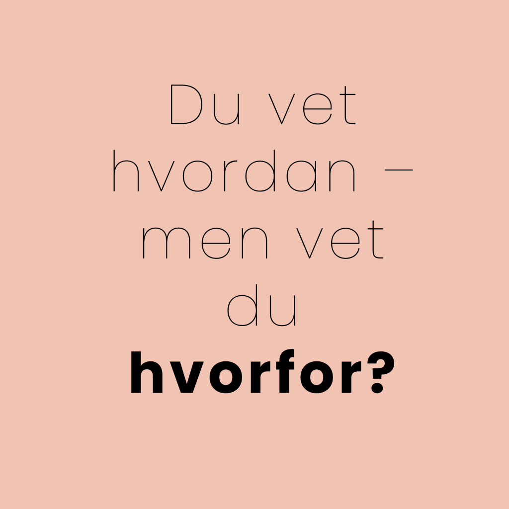 Du vet hvordan – men vet du hvorfor?
